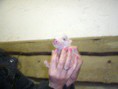 /album/fenykepgaleria/gedc0302-jpg/
